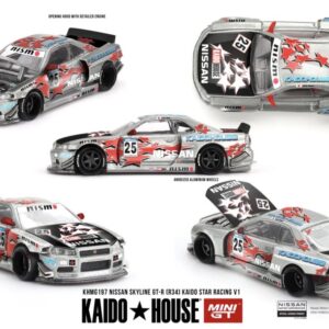 #197 - Nissan Skyline GT-R (R34) Kaido Star Racing V1